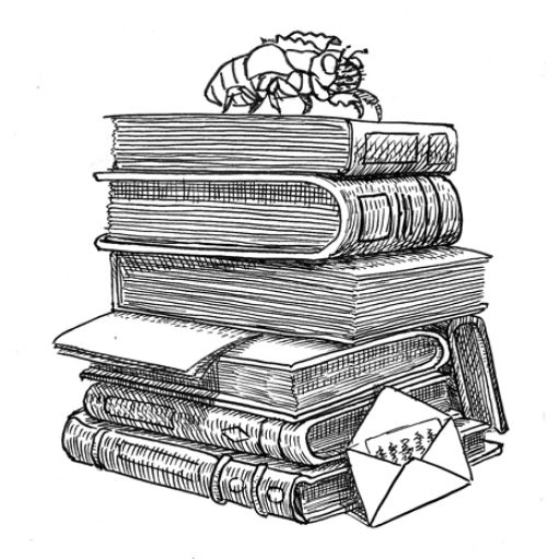 Uma imagem contendo pessoa, homem, em pé, água
Descrição gerada automaticamente